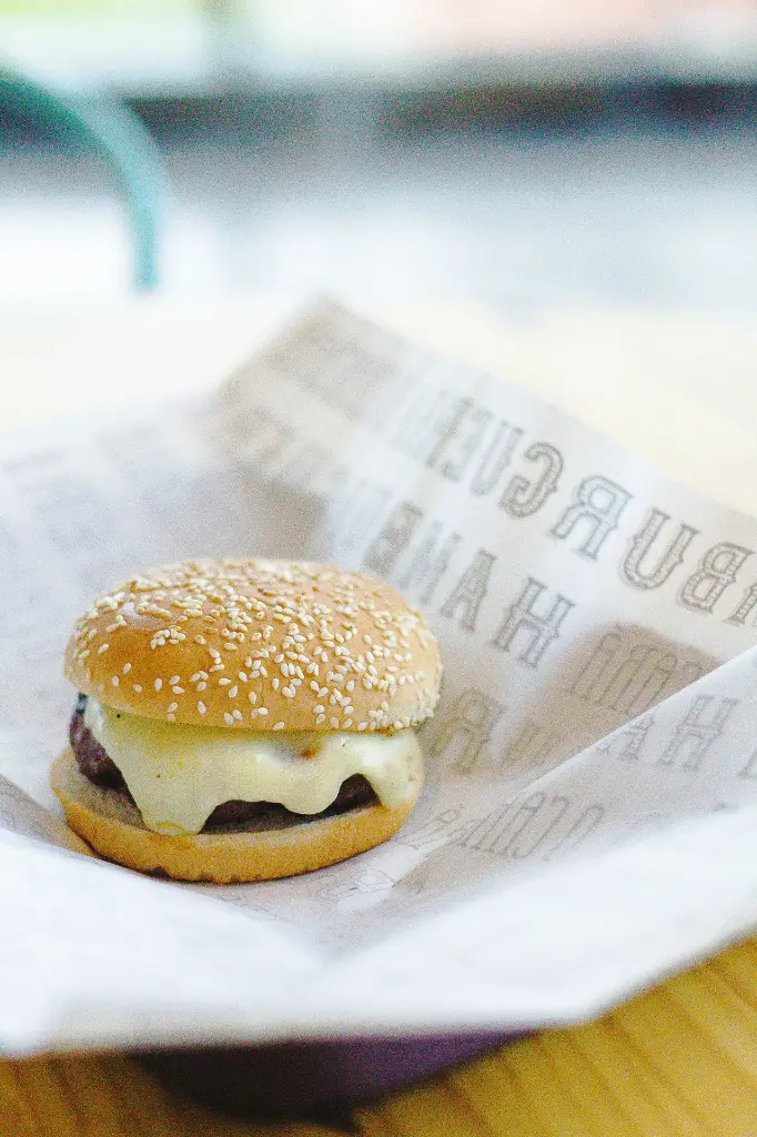 unsplash__JY7ZNkrCjk_embalagem hamburguer.webp